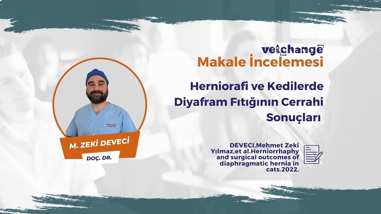 Vetchange Makale İncelemesi | Doç. Dr. M. Zeki Deveci #vetchange #veterinerhekim